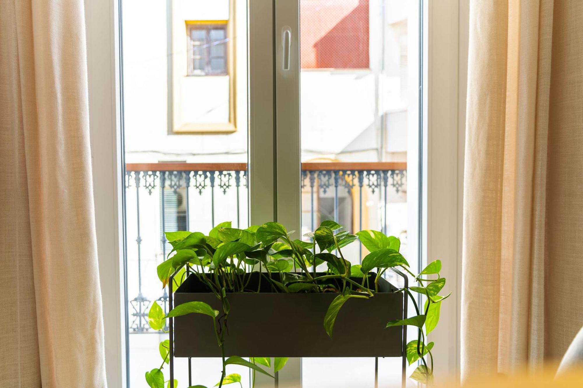 Casa De La Vega Suites Chiclana de la Frontera Ngoại thất bức ảnh